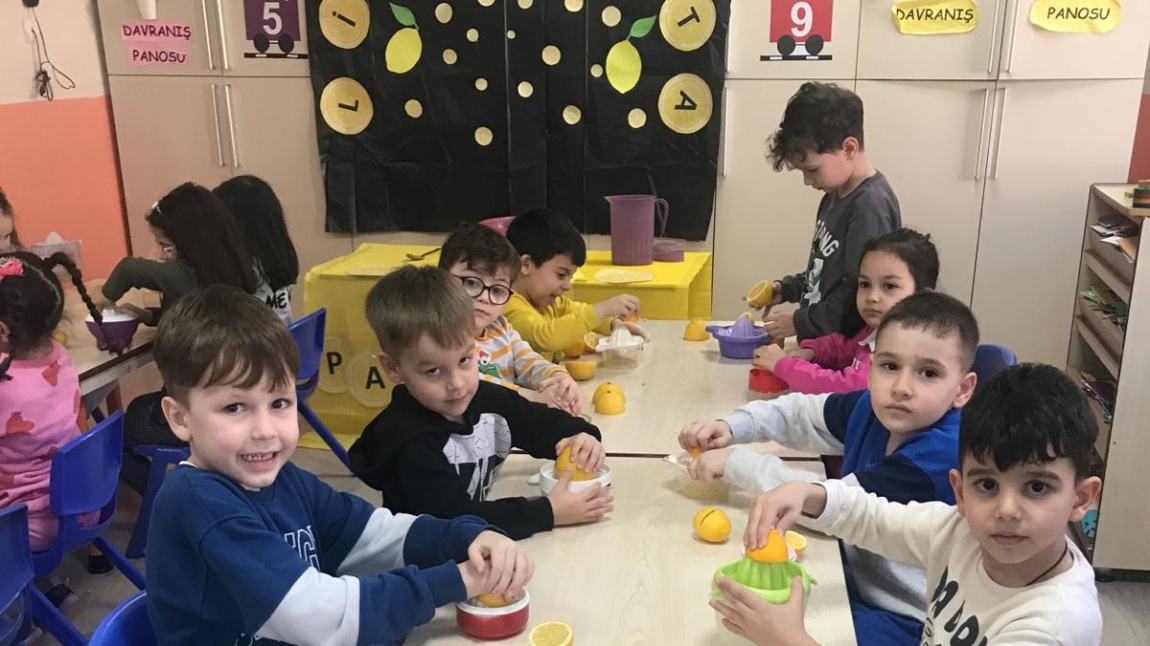 Turuncu Öğle sınıfı Limonata yapıyor